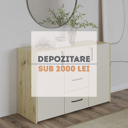 Collection image for: Solutii depozitare ieftine