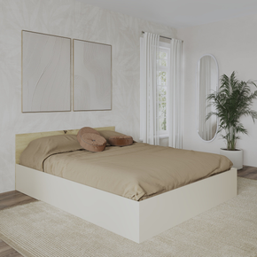 Collection image for: Paturi