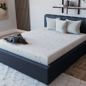 Collection image for: Saltele pat