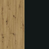 Stejar Artisan/Negru swatch